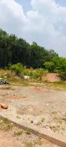 Kakkanad Plot View 3