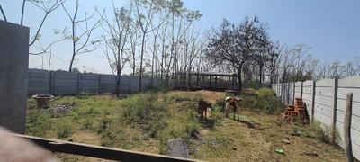 Image of 5328 Sq.ft Residential Plot / Land for sale in Alair, Yadadri Bhuvanagiri for Rs. 3000000
