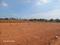 Royal Springs Plot View 2