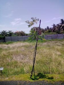 Image of 650 Sq.ft Residential Plot / Land for sale in Casagrand Clovis, Thaiyur, Chennai for Rs. 1690000