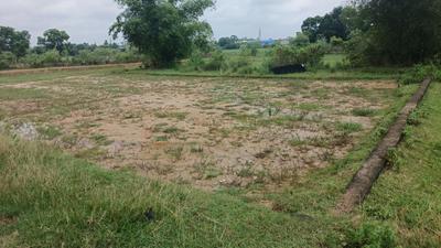 Image of 3050 Sq.ft Residential Plot / Land for sale in Kuruda, Balasore for Rs. 2100000