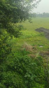 Image of 1800 Sq.ft Residential Plot / Land for sale in Andal, Durgapur for Rs. 1300000