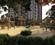 NCC Urban Lake Springs Main Image 1