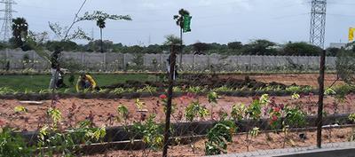 Image of 145 Sq.ft Residential Plot / Land for sale in Kothur, Hyderabad for Rs. 2682006