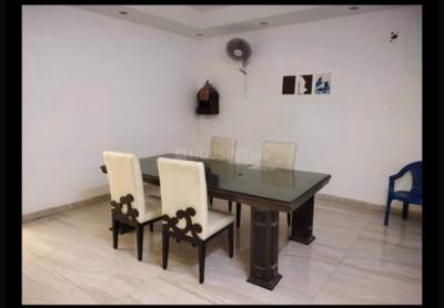 Hall Image of Global in Sector 16, Noida