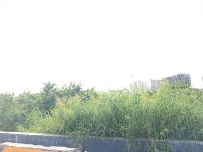 Image of 1800 Sq.ft Residential Plot / Land for sale in Sector 79, Noida for Rs. 27100000