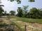 Golden city 2 Plot View 2