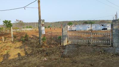 PRESTIGE FARMS Plot View 3
