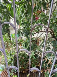 Balcony Image of 3000 Sq.ft 4 BHK Independent House for sale in Tollygunge Kolkata for Rs. 10000000