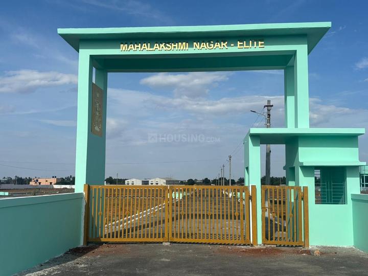 Pappampatti Main Image 1