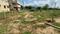 Balaji Colony Plot View 2