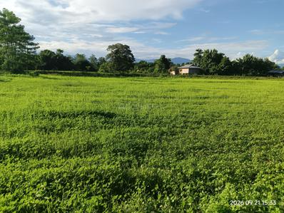 Image of 14400 Sq.ft Residential Plot / Land for sale in Ram Nagar, Dhemaji for Rs. 889999