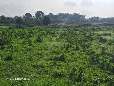 Image of 3000 Sq.ft Residential Plot / Land for sale in Gamharia, Jamshedpur for Rs. 2600000