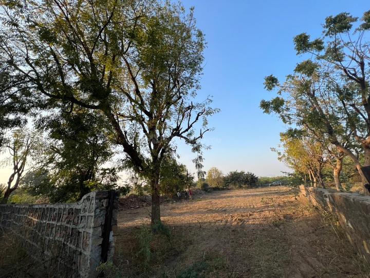 Tulip challete Main Image 1