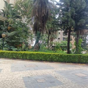 Image of 1100 Sq.ft 2 BHK Apartment / Flat for rent in Nyati Equatorial, Bavdhan, Pune for Rs. 30000