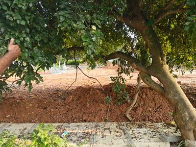 Image of 1200 Sq.ft Residential Plot / Land for sale in Lal Bahadur Shastri Nagar, Bengaluru for Rs. 15600000