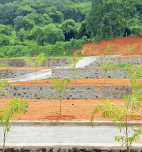 Image of 1320 Sq.ft Residential Plot / Land for sale in Pallikkara, Kochi for Rs. 500000