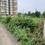 Hoshangabad Road Plot View 2