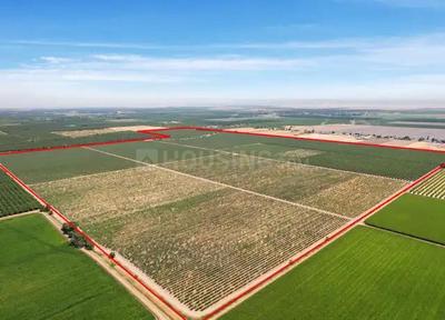 Image of 18211 Sq.ft Residential Plot / Land for sale in Palwal, Hodal for Rs. 900000000
