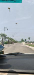 Image of 1176 Sq.ft Residential Plot / Land for sale in 3B Homes Pataudi One, Pataudi, Gurgaon for Rs. 9039000