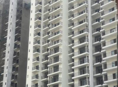 Image of 1435 Sq.ft 3 BHK Apartment / Flat for sale in Future Estate, Noida Extension, Greater Noida for Rs. 11465650