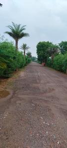 Dhouj Plot View 3