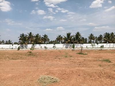 Residential Plot
