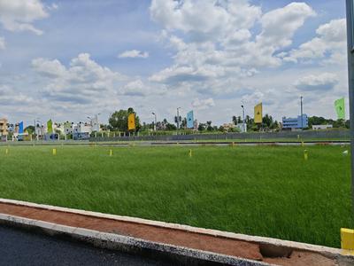 Residential Plot