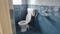 Shree sai realtors Bathroom 1