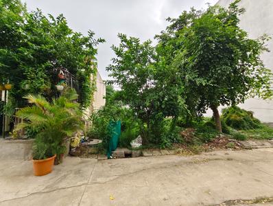 Shrinath palace Nipania Plot View 3