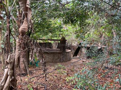Balcony Image of 1168 Sq.ft 4 BHK Independent House for sale in Curchorem Goa for Rs. 22000000