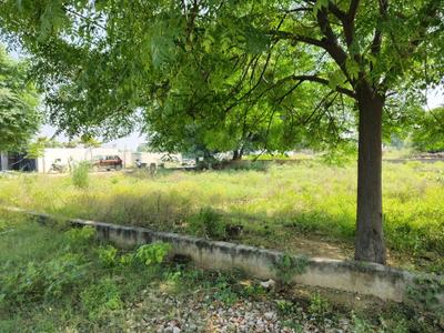 Image of 900 Sq.ft Residential Plot / Land for sale in Bhanauta, Greater Noida for Rs. 3501500