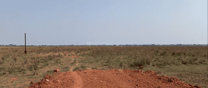 Jamukoli Main Image 1