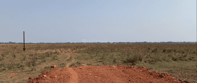 Jamukoli Plot View 1