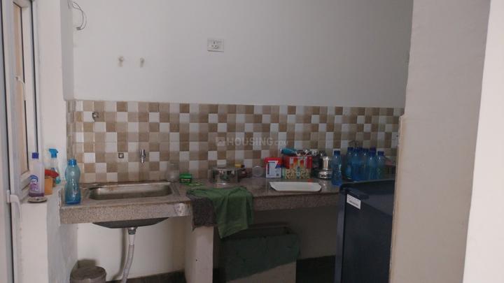 Tulip Purple Main Image 1