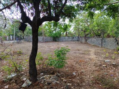Image of 3600 Sq.ft Residential Plot / Land for sale in Neelankarai, Chennai for Rs. 37000000