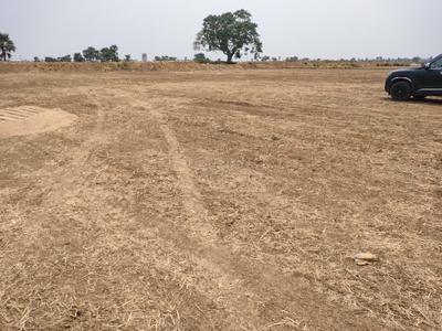 Image of 1200 Sq.ft Residential Plot / Land for sale in Rajgir, Nalanda for Rs. 906000