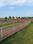 Kashipuram Main Image 1