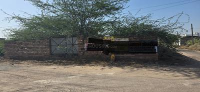 Pal Plot View 1
