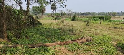 Uluberia Plot View 2