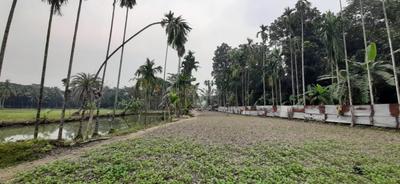 Image of 1440 Sq.ft Residential Plot / Land for sale in Amtala, Kolkata for Rs. 600000