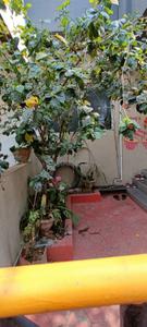 Image of 914 Sq.ft 2 BHK Independent House for sale in Kanchanwadi, Aurangabad for Rs. 6500000