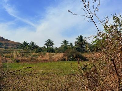 Image of 1000 Sq.ft Residential Plot / Land for sale in Belgaon Dhaga, Nashik for Rs. 5210000