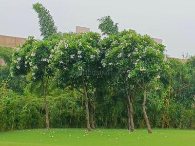 Image of 100 Sq.ft Residential Plot / Land for sale in Supertech Golf Country, Yeida, Greater Noida for Rs. 7000000