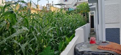 Image of 3024 Sq.ft 1 RK Farm House for sale in Ajabpur Kalan, Dehradun for Rs. 15000000