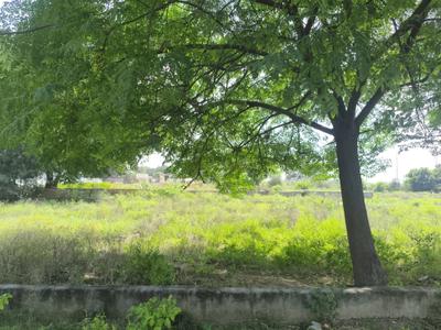 Image of 60 Sq.ft Residential Plot / Land for sale in Bhanauta, Greater Noida for Rs. 2115000