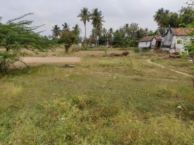 Annur Plot View 2