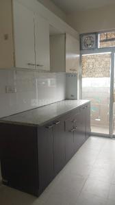 Kitchen Image of 1650 Sq.ft 2 BHK Apartment / Flat for sale in DLF Express Greens, Manesar Gurgaon for Rs. 12000000