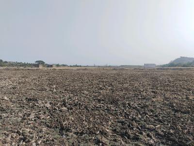 Sarde Plot View 1