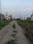 Dharitri New Royal Enclave Internal Roads 1